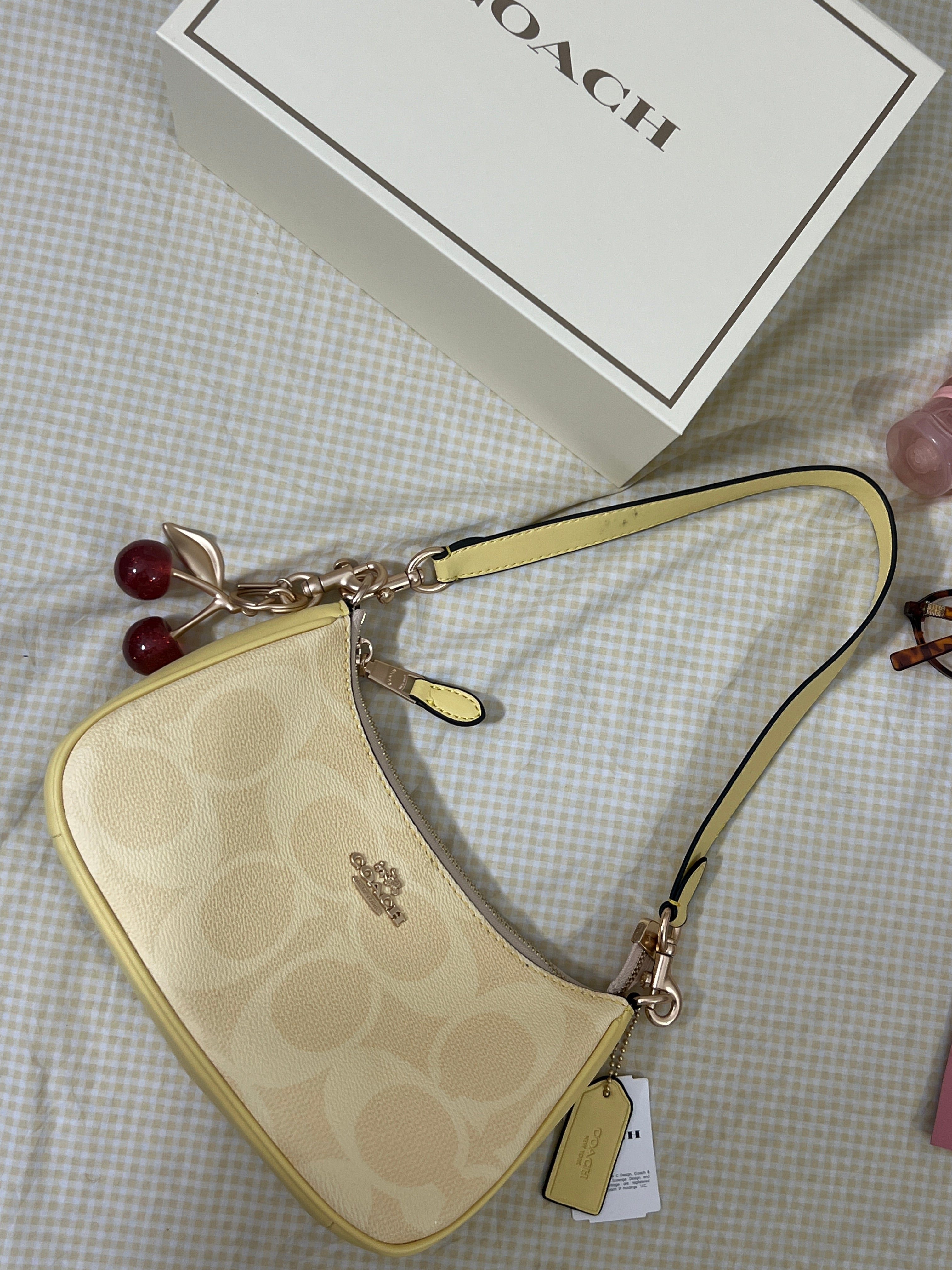 Coach Teri Shoulder Bag (with Box, Charm and  long strap)
