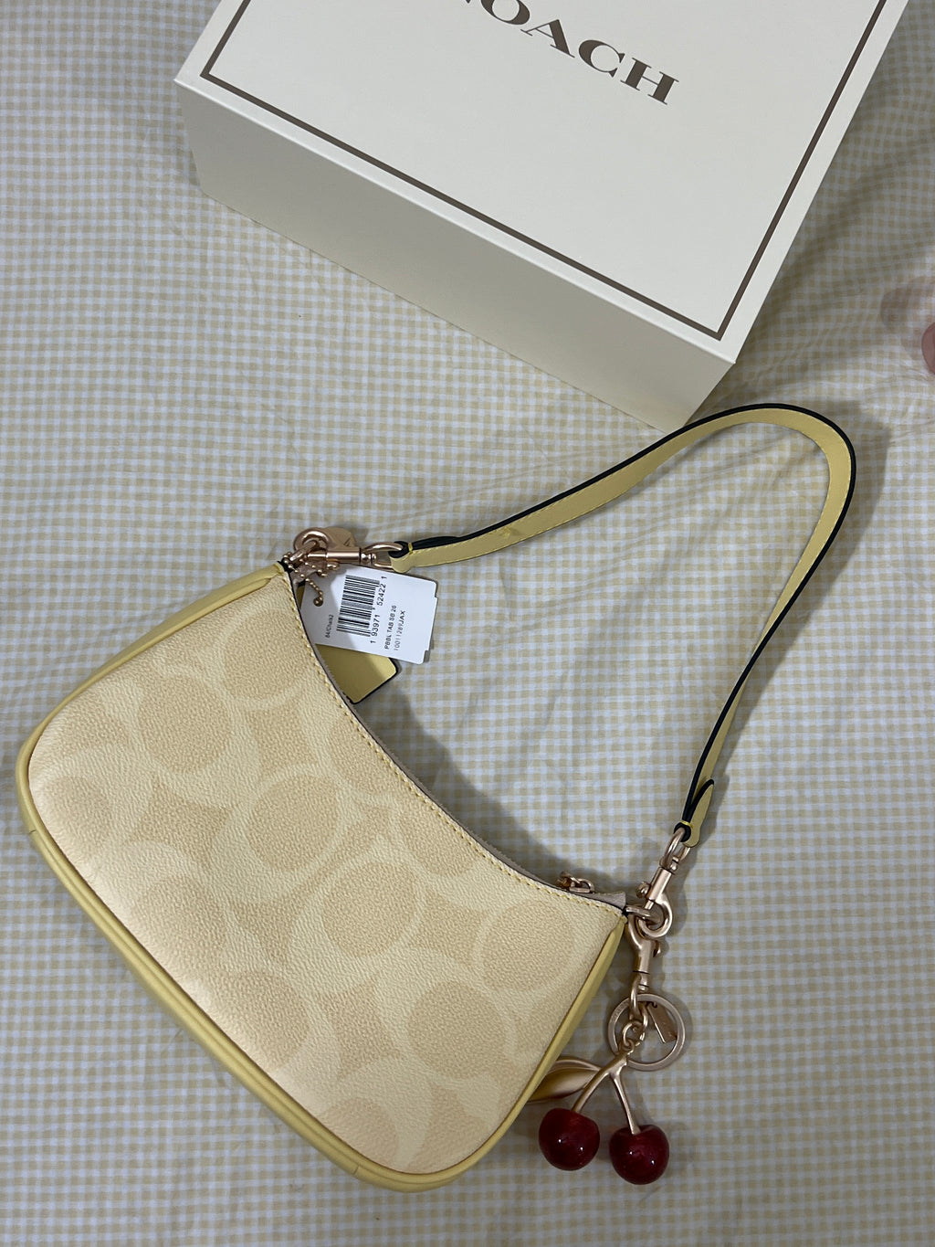Coach Teri Shoulder Bag (with Box, Charm and  long strap)