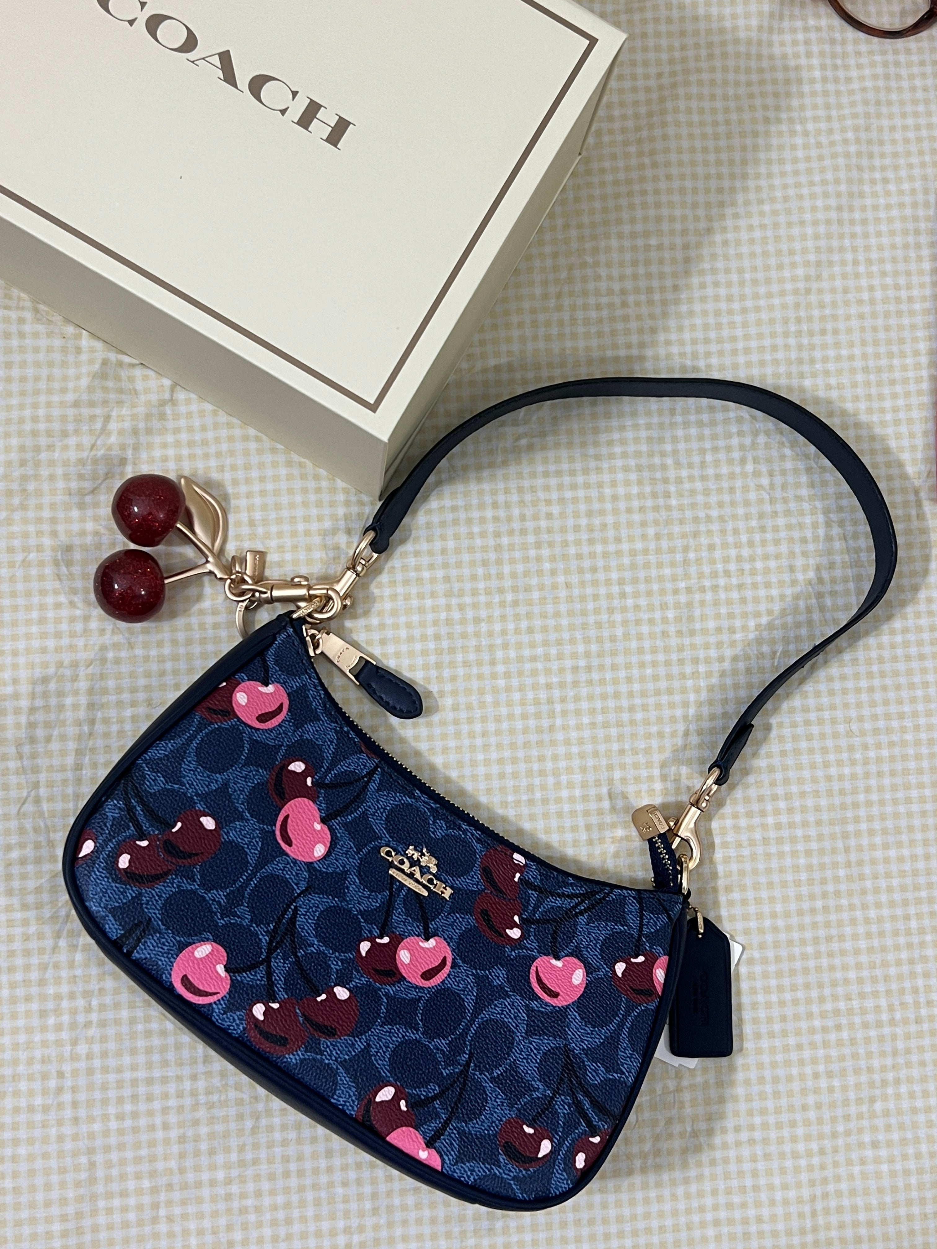 Coach Teri Shoulder Bag (with Box, Charm and  long strap)