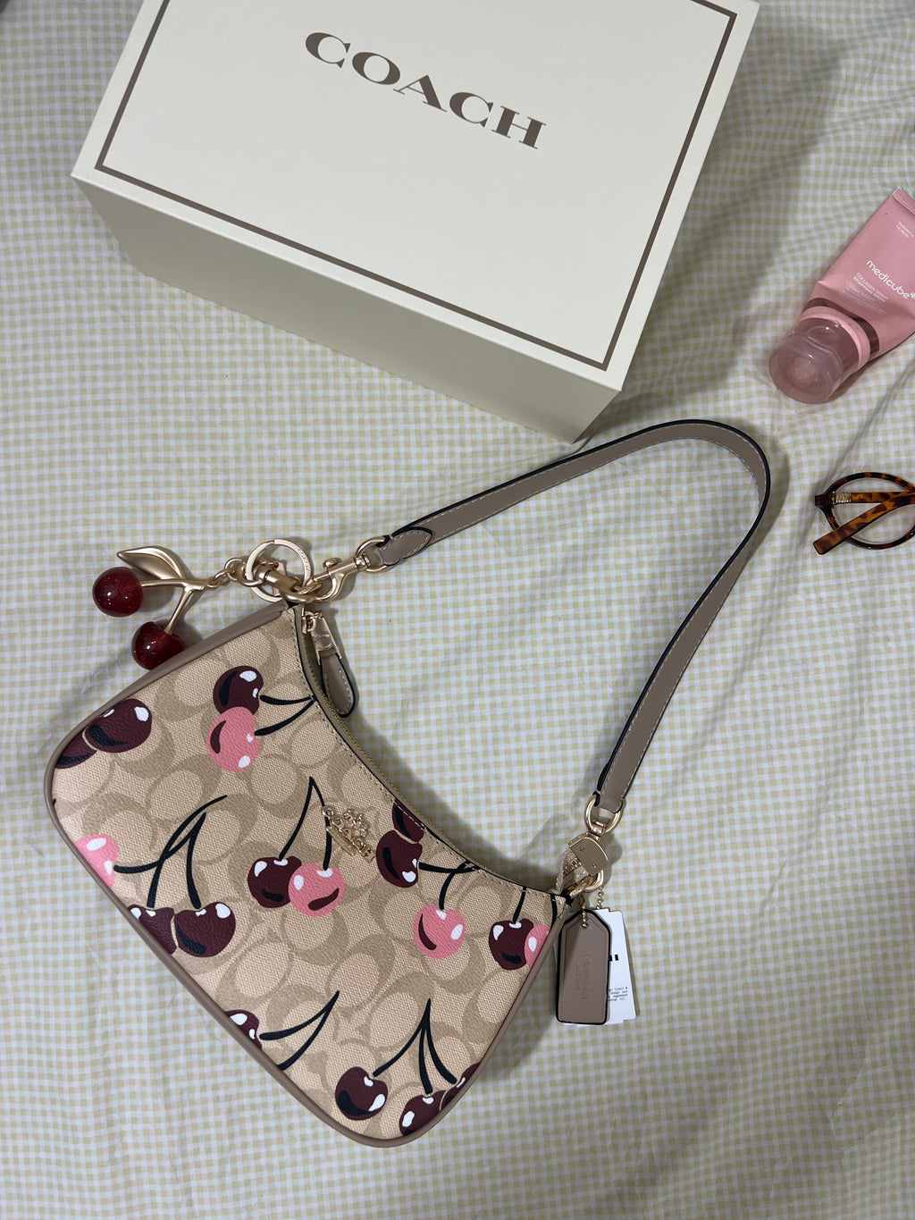 Coach Teri Shoulder Bag (with Box, Charm and  long strap)