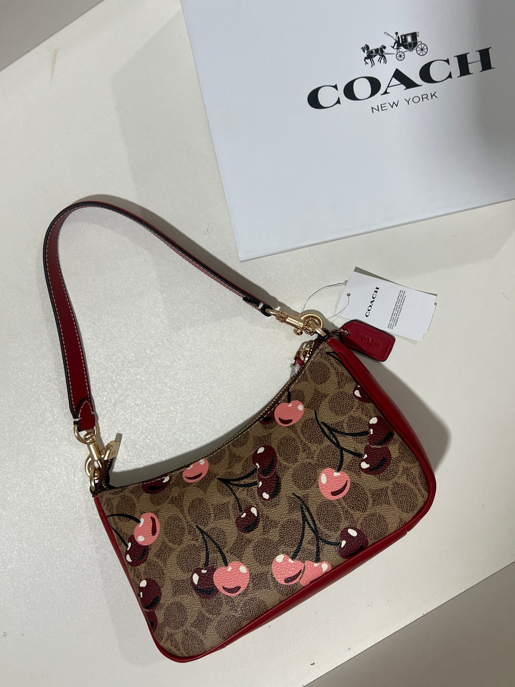 Coach Teri Signature Brown Cherry Shoulder Bag (with Box)