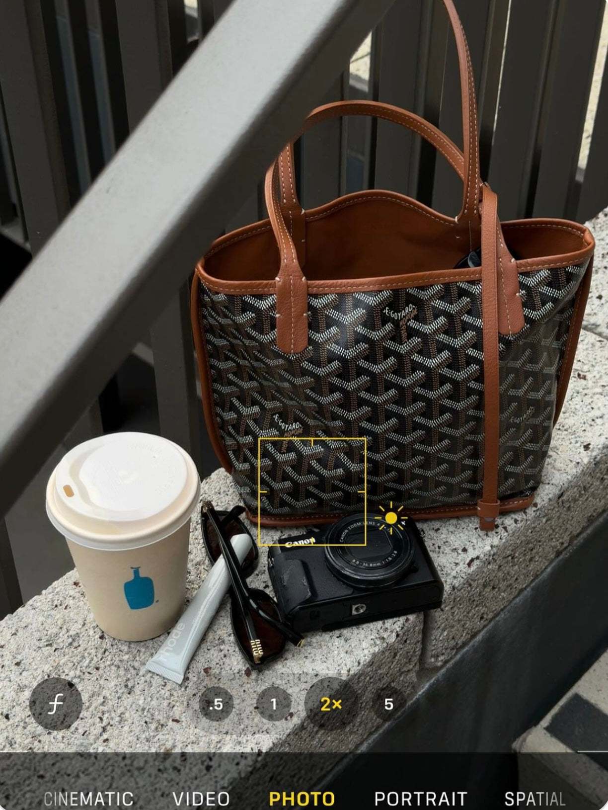 Goyard Tote Bag - Black with brown (Medium with Pouch)