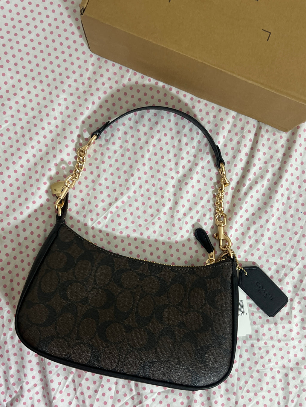 Coach Teri Shoulder Bag (with Box, Charm and  long strap)