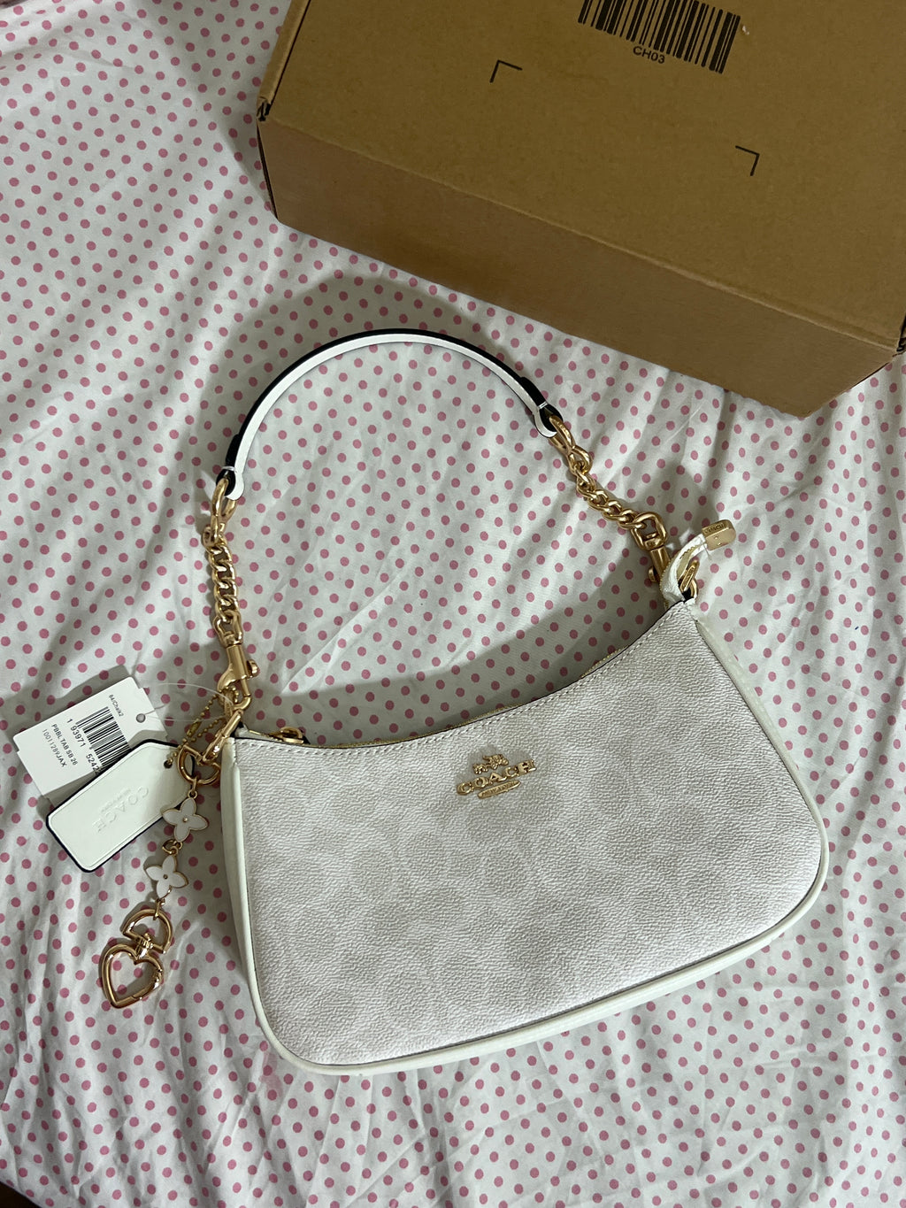 Coach Teri Shoulder Bag (with Box, Charm and  long strap)