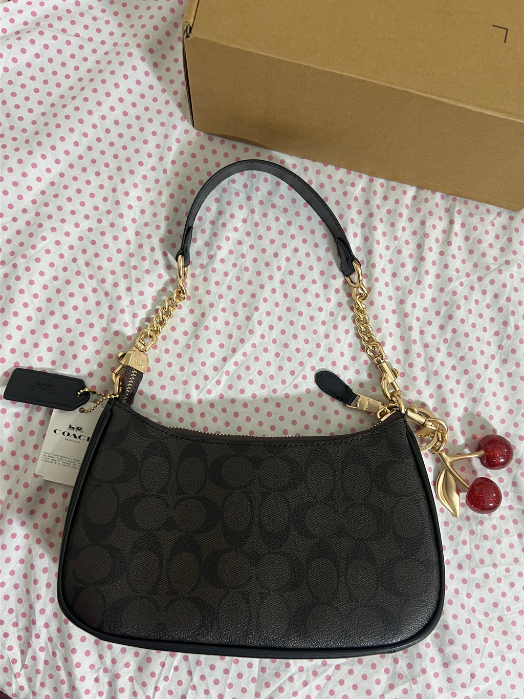 Coach Teri Shoulder Bag (with Box, Charm and  long strap)