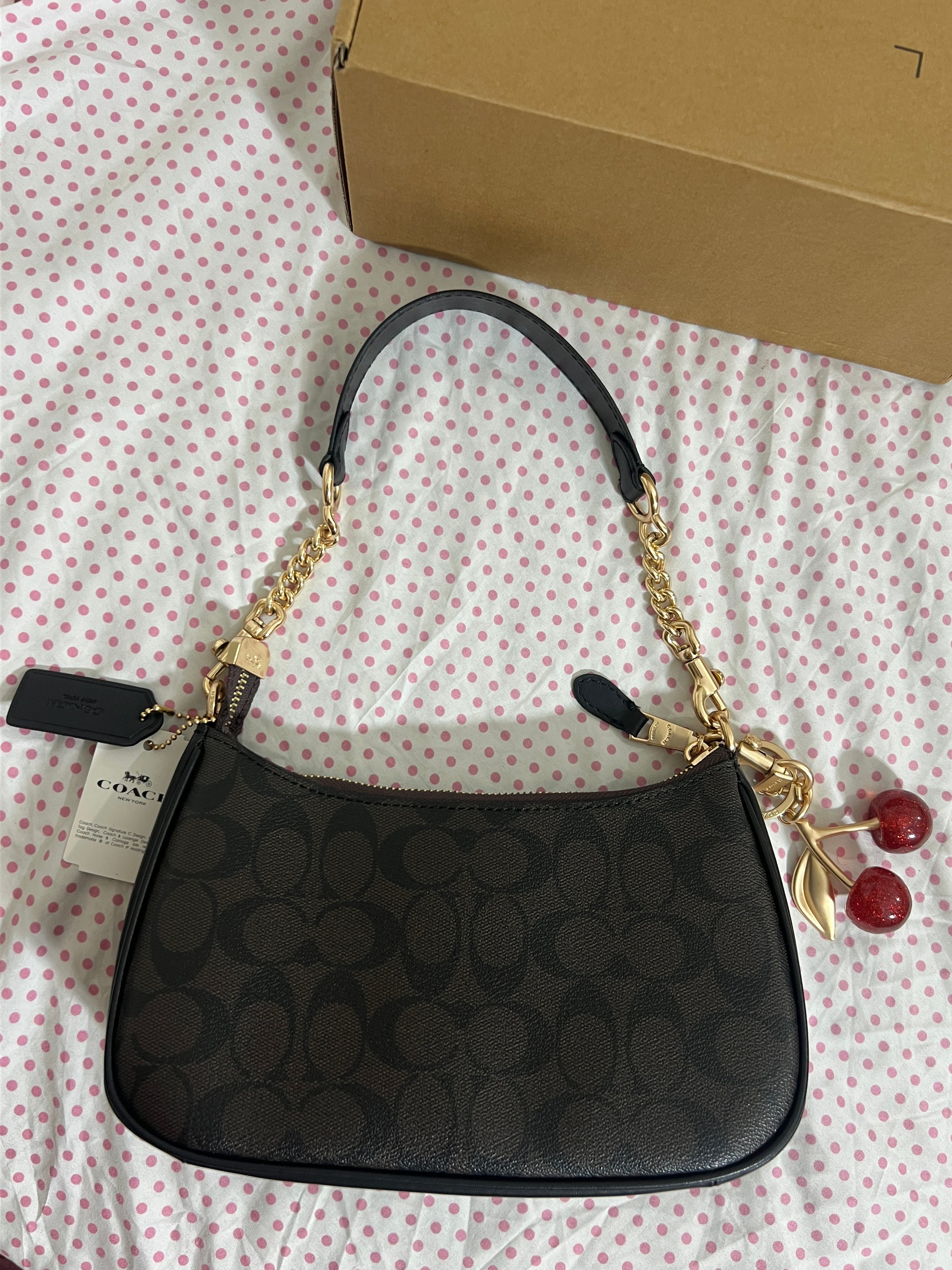 Coach Teri Shoulder Bag (with Box, Charm and  long strap)