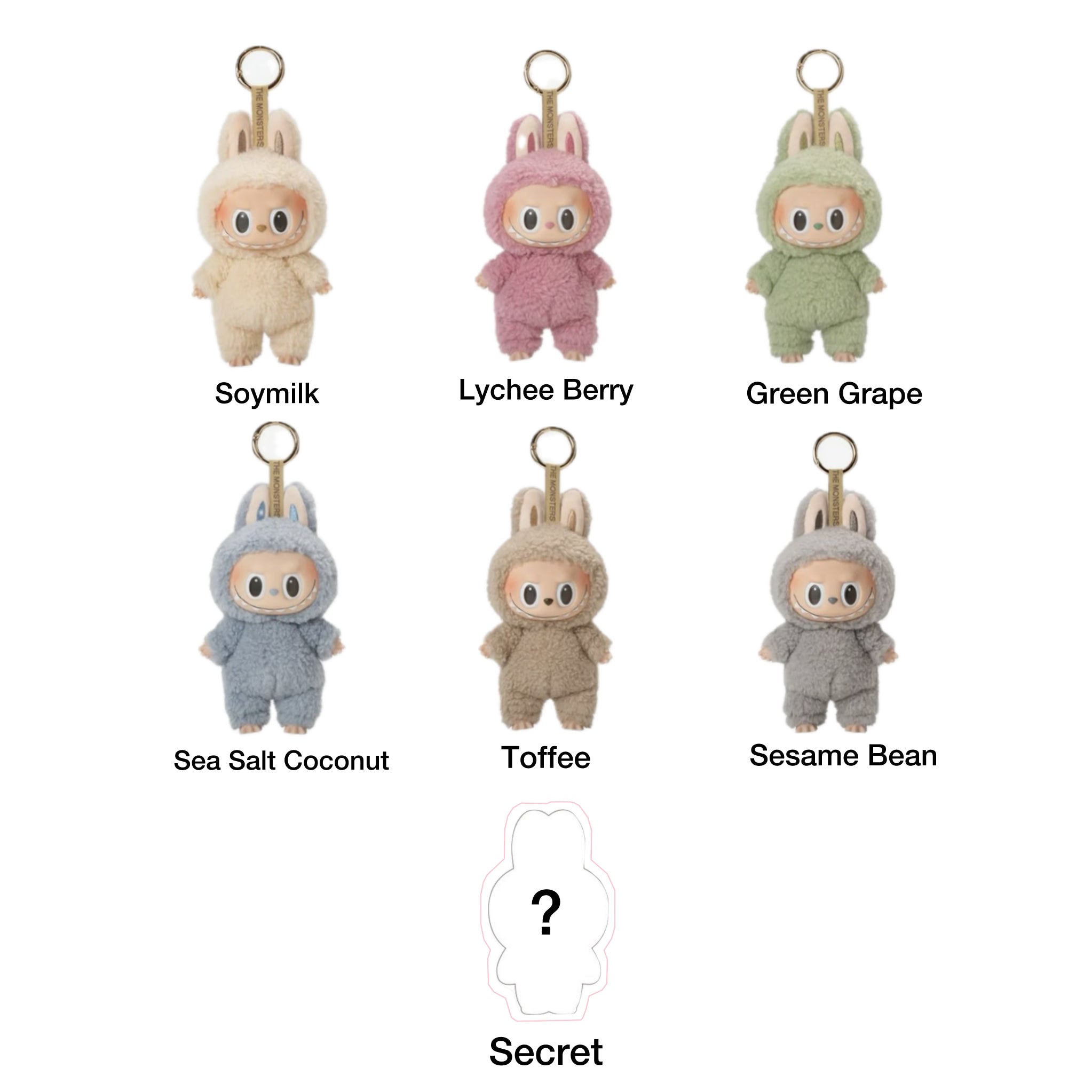 EXCITING MACARON LABUBU BLIND BOX